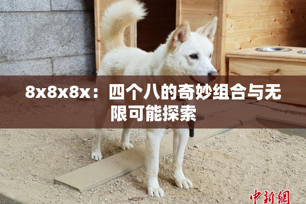 8x8x8x：四个八的奇妙组合与无限可能探索