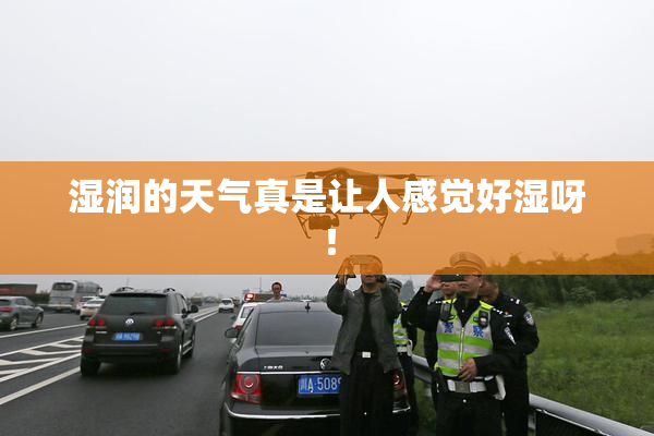 湿润的天气真是让人感觉好湿呀！