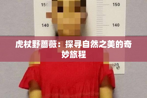 虎杖野蔷薇：探寻自然之美的奇妙旅程