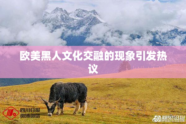 欧美黑人文化交融的现象引发热议