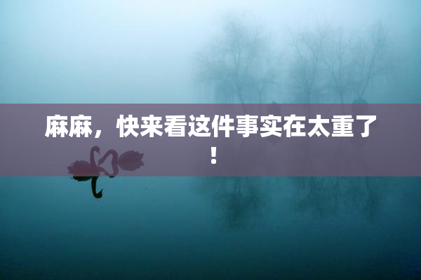 麻麻，快来看这件事实在太重了！