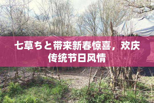 七草ちと带来新春惊喜，欢庆传统节日风情