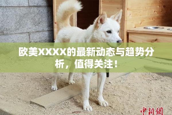 欧美XXXX的最新动态与趋势分析，值得关注！