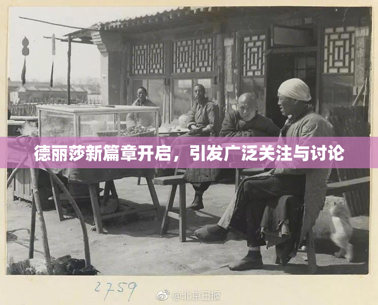 德丽莎新篇章开启，引发广泛关注与讨论