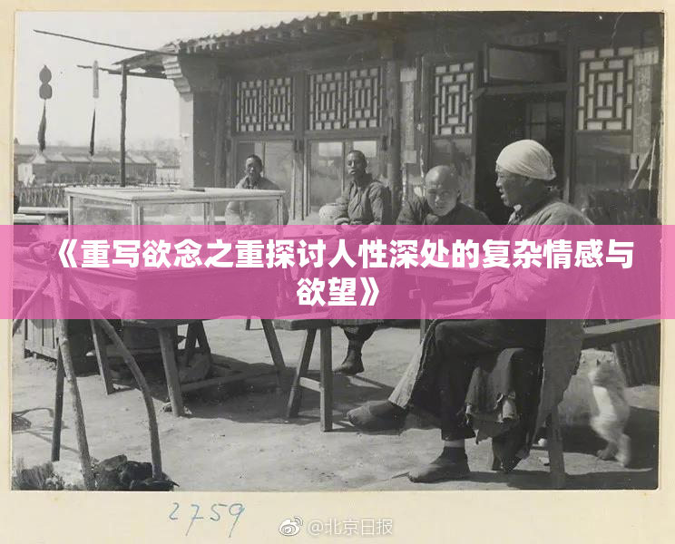 《重写欲念之重探讨人性深处的复杂情感与欲望》