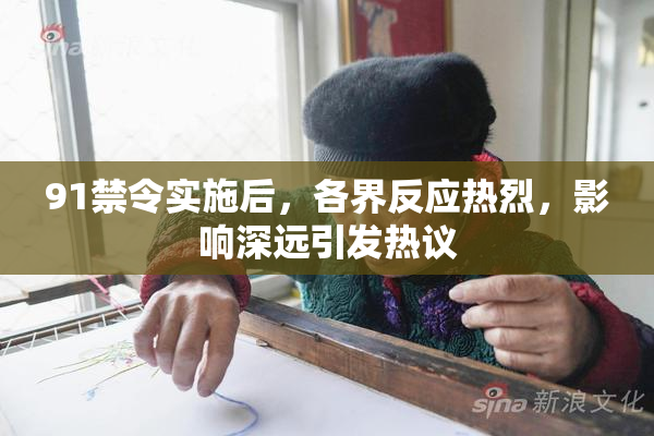 91禁令实施后，各界反应热烈，影响深远引发热议