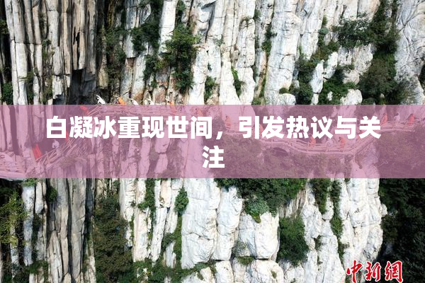 白凝冰重现世间，引发热议与关注