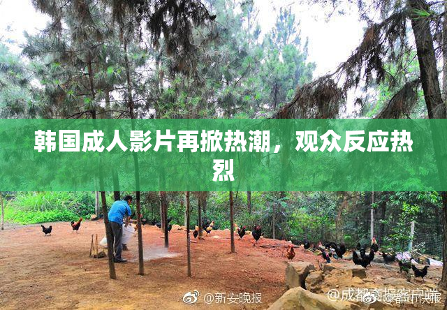 韩国成人影片再掀热潮，观众反应热烈