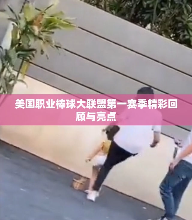 美国职业棒球大联盟第一赛季精彩回顾与亮点