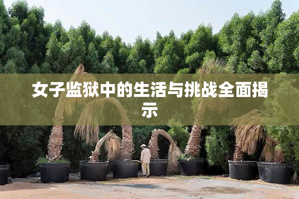 女子监狱中的生活与挑战全面揭示