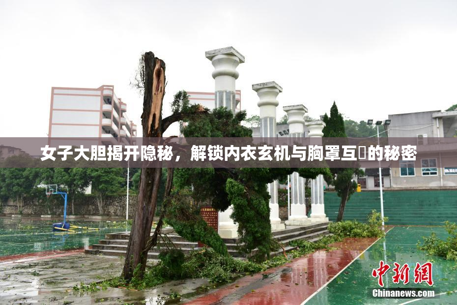 女子大胆揭开隐秘，解锁内衣玄机与胸罩互動的秘密