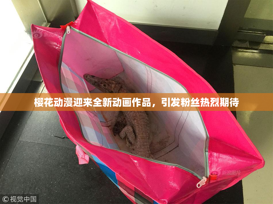 樱花动漫迎来全新动画作品，引发粉丝热烈期待
