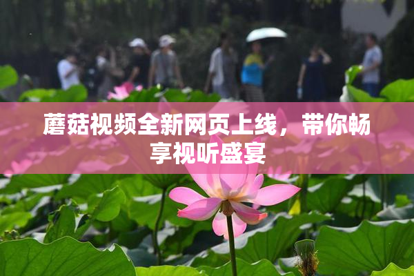 蘑菇视频全新网页上线，带你畅享视听盛宴