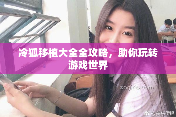 冷狐移植大全全攻略，助你玩转游戏世界