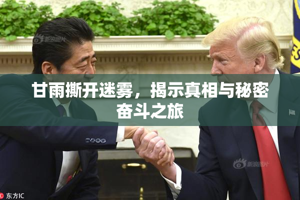 甘雨撕开迷雾，揭示真相与秘密奋斗之旅