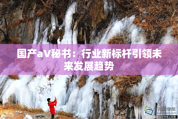国产aV秘书：行业新标杆引领未来发展趋势