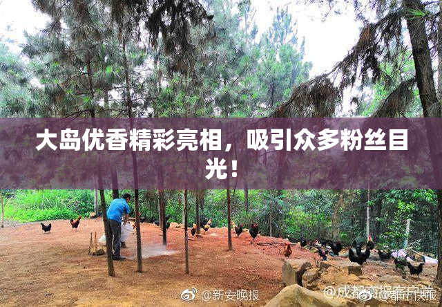 大岛优香精彩亮相，吸引众多粉丝目光！