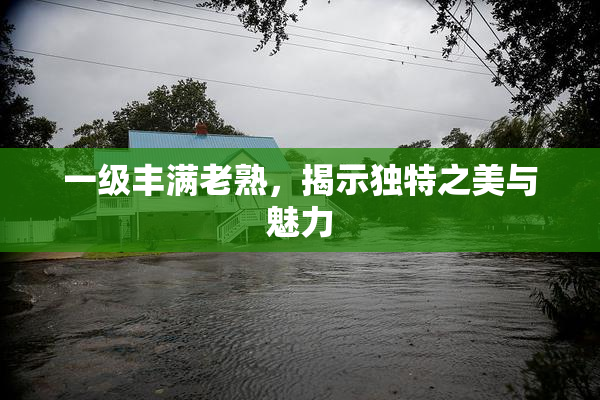 一级丰满老熟，揭示独特之美与魅力