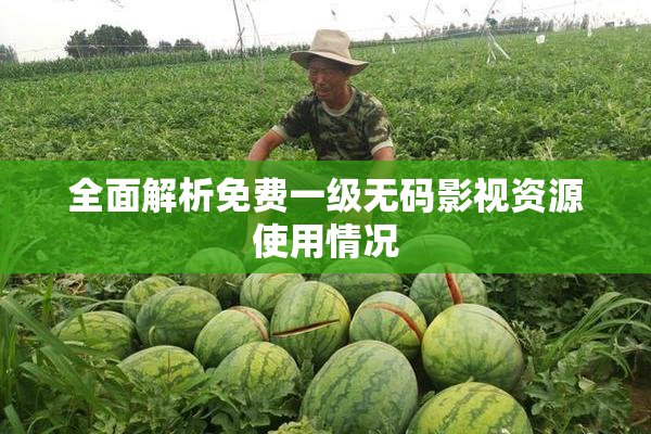 全面解析免费一级无码影视资源使用情况