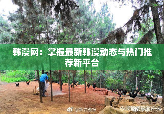 韩漫网：掌握最新韩漫动态与热门推荐新平台