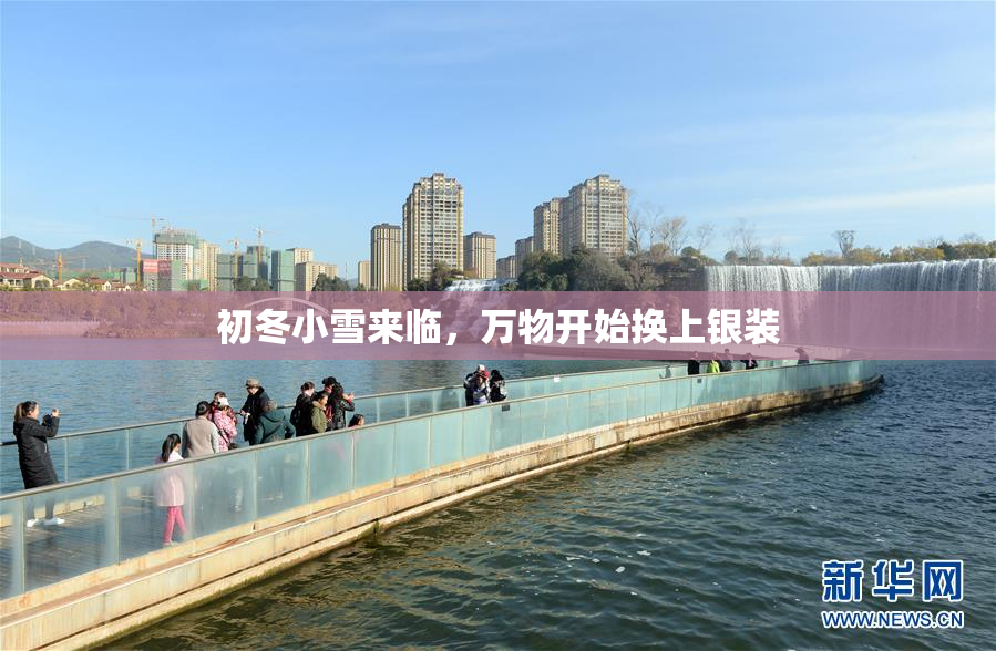 初冬小雪来临，万物开始换上银装