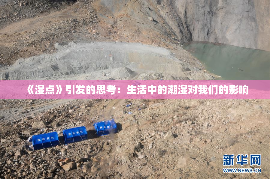 《湿点》引发的思考：生活中的潮湿对我们的影响