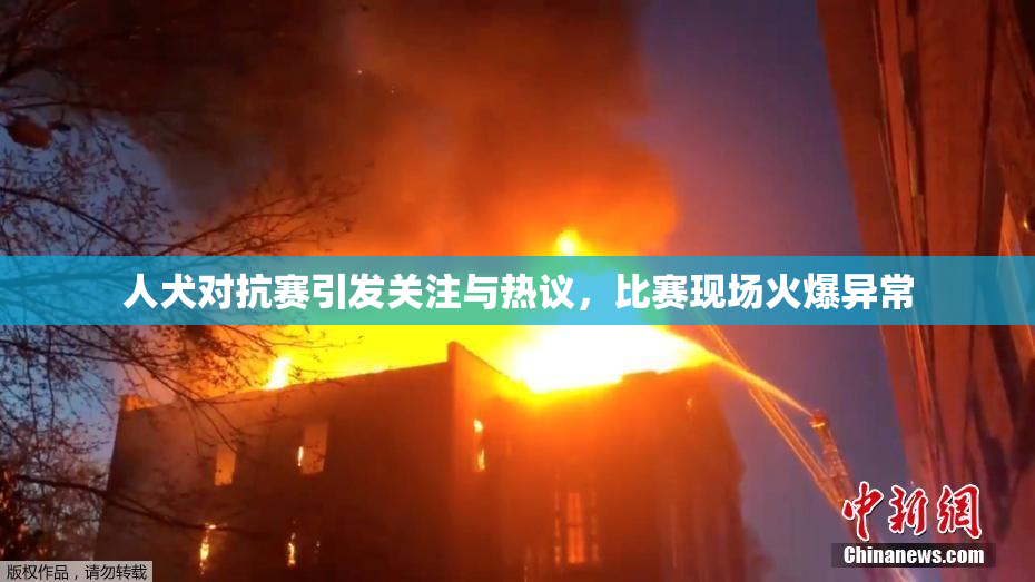 人犬对抗赛引发关注与热议，比赛现场火爆异常