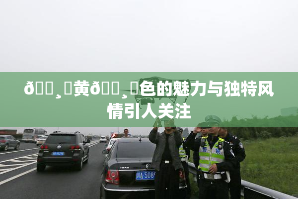 🌸‌黄🌸‌色的魅力与独特风情引人关注