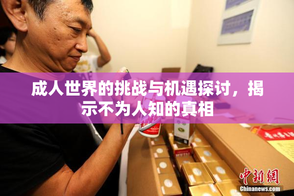 成人世界的挑战与机遇探讨，揭示不为人知的真相