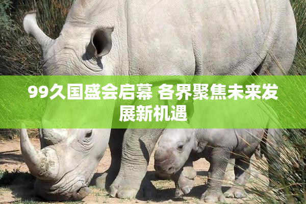 99久国盛会启幕 各界聚焦未来发展新机遇