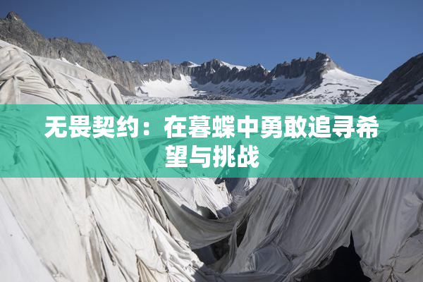 无畏契约：在暮蝶中勇敢追寻希望与挑战