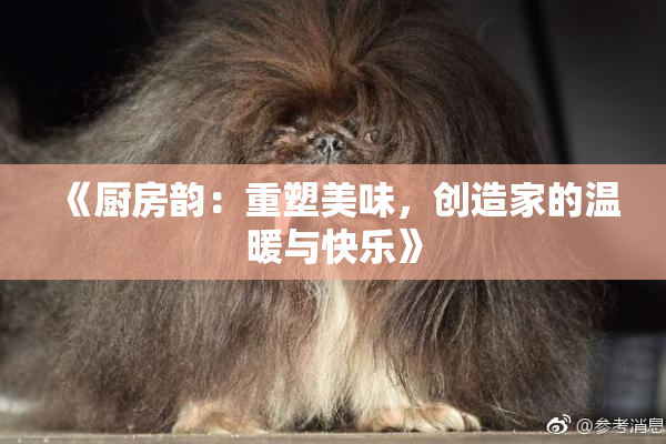 《厨房韵：重塑美味，创造家的温暖与快乐》