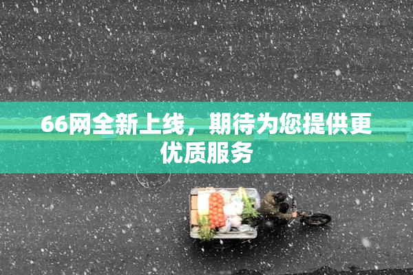66网全新上线，期待为您提供更优质服务