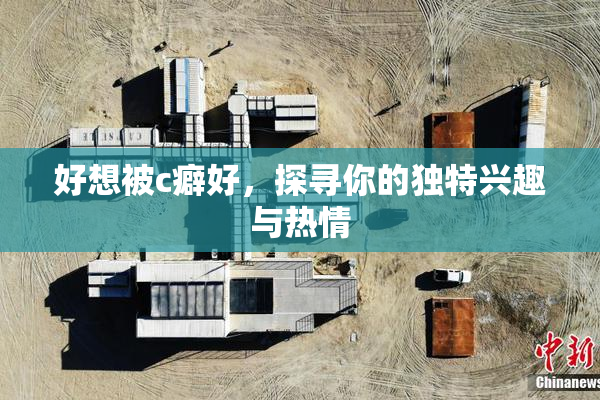 好想被c癖好，探寻你的独特兴趣与热情