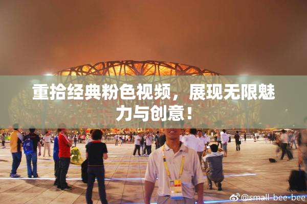重拾经典粉色视频，展现无限魅力与创意！