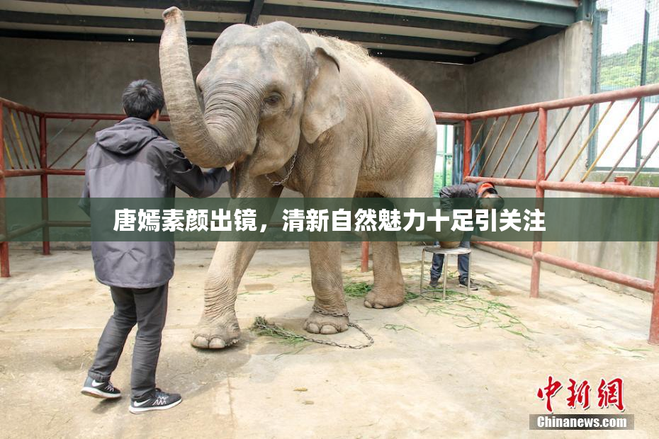 唐嫣素颜出镜，清新自然魅力十足引关注