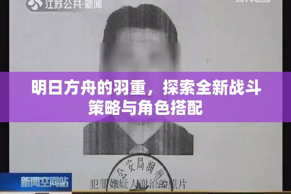 明日方舟的羽重，探索全新战斗策略与角色搭配