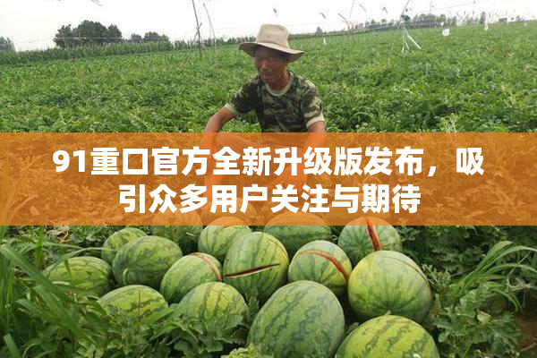 91重口官方全新升级版发布，吸引众多用户关注与期待