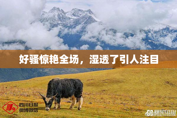 好骚惊艳全场，湿透了引人注目