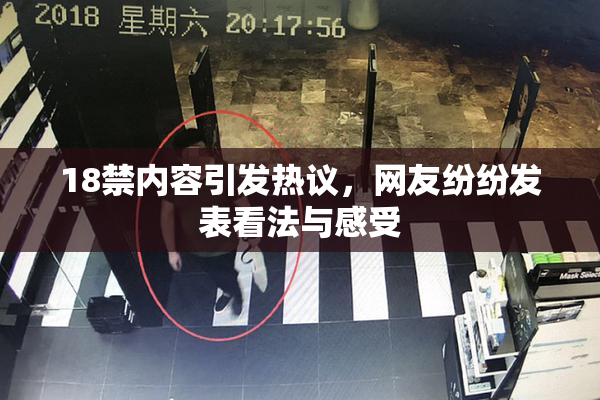 18禁内容引发热议，网友纷纷发表看法与感受