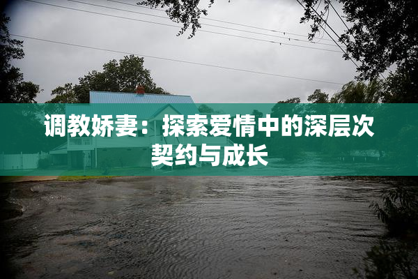 调教娇妻：探索爱情中的深层次契约与成长