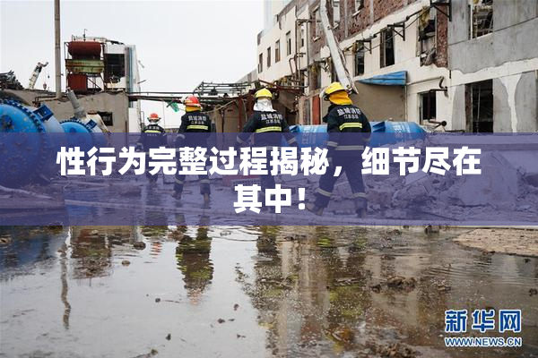 性行为完整过程揭秘，细节尽在其中！
