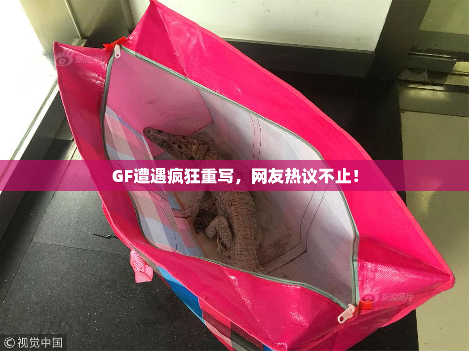 GF遭遇疯狂重写，网友热议不止！