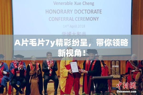 A片毛片7y精彩纷呈，带你领略新视角！