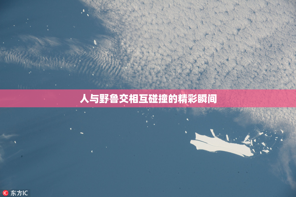 人与野鲁交相互碰撞的精彩瞬间