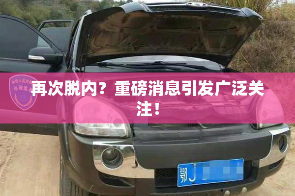 再次脱内？重磅消息引发广泛关注！