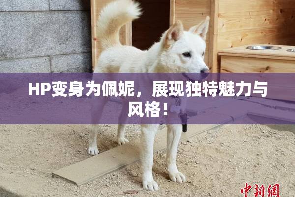 HP变身为佩妮，展现独特魅力与风格！