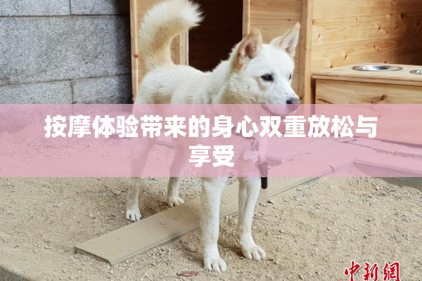 按摩体验带来的身心双重放松与享受