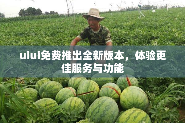 uiui免费推出全新版本，体验更佳服务与功能