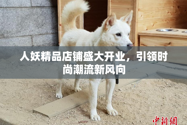人妖精品店铺盛大开业，引领时尚潮流新风向